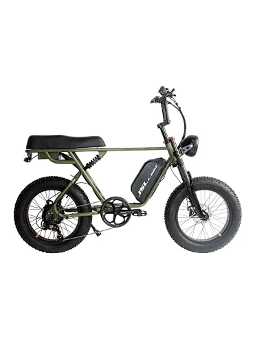 (JSL039FH)New Steel Frame Full Suspension 20 inch 48v 350w fat tire electric bike snow ebike beach cruiser