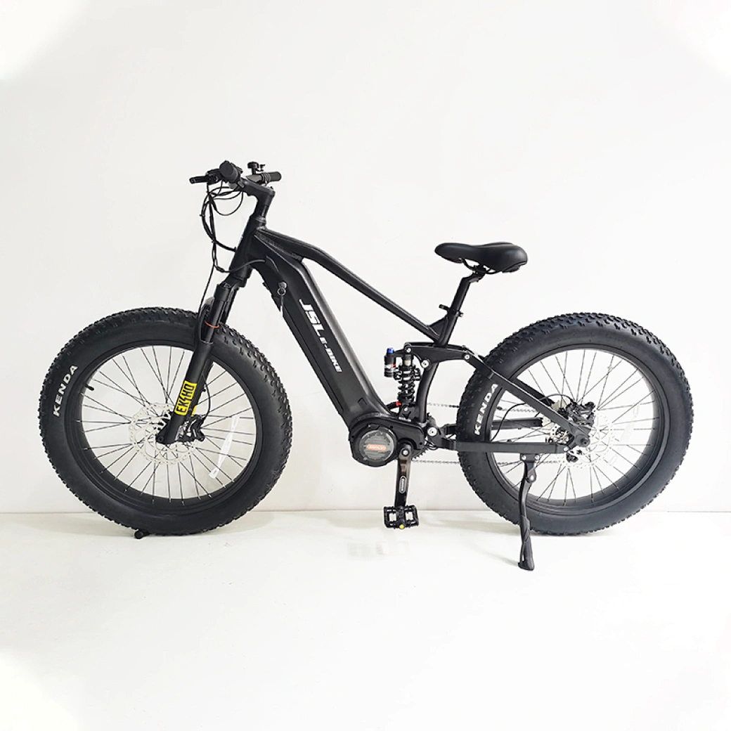electric beach cruiser fat tire