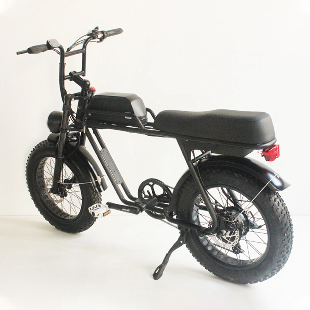 20 inch fat tire bike