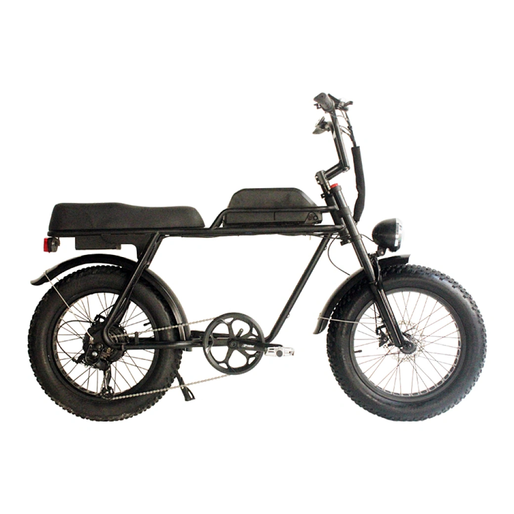 20 inch bike tire