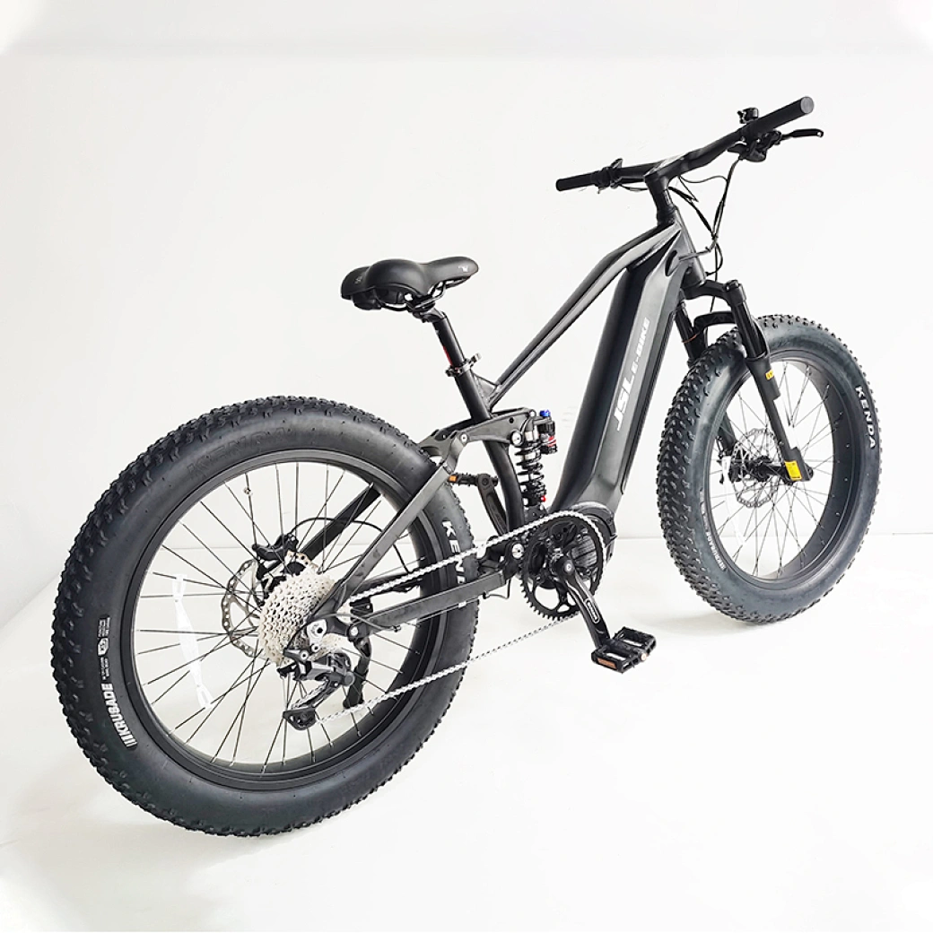 electric beach cruiser fat tire