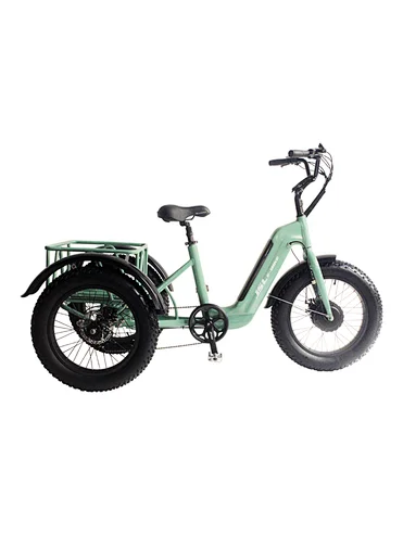 (JSL-T04)Electric Adult Tricycle,20 Inch Fat Tire Wheel Options, Low Step-Through Aluminum Frame, Cargo Basket