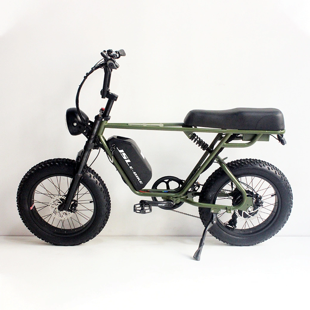 48v 350w electric mountain bike