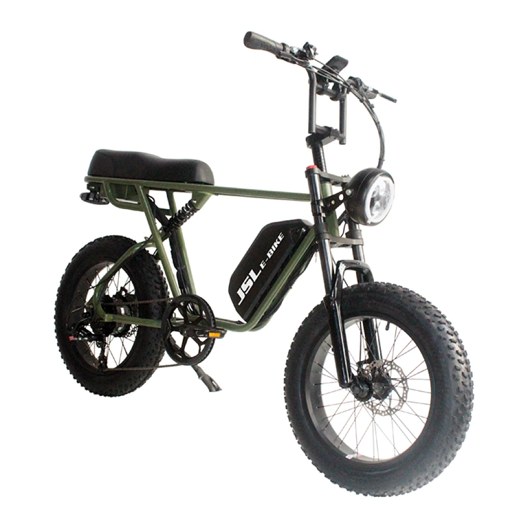 48v 350w ebike controller