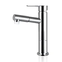 Wash basin economic bathroom sink tap models pull out
