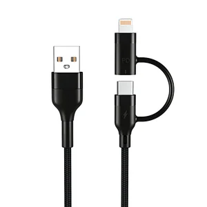 Lightning&USB C 2 IN 1 Cable