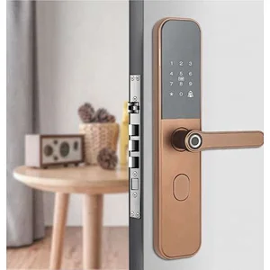 Biometric Password Ttlock Smart Lock Front Door