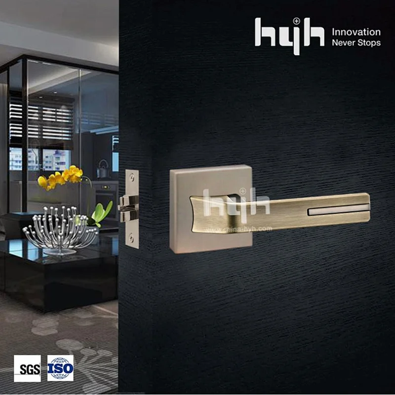 South American Simple Modern Style Main Door Handle Lock