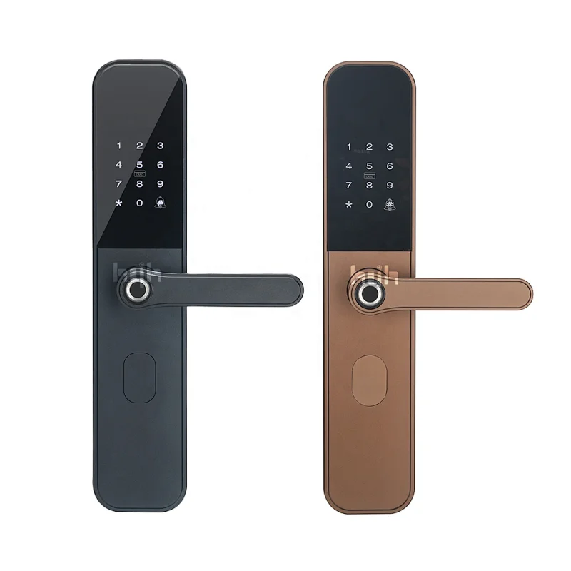 Biometric Password Ttlock Smart Lock Front Door