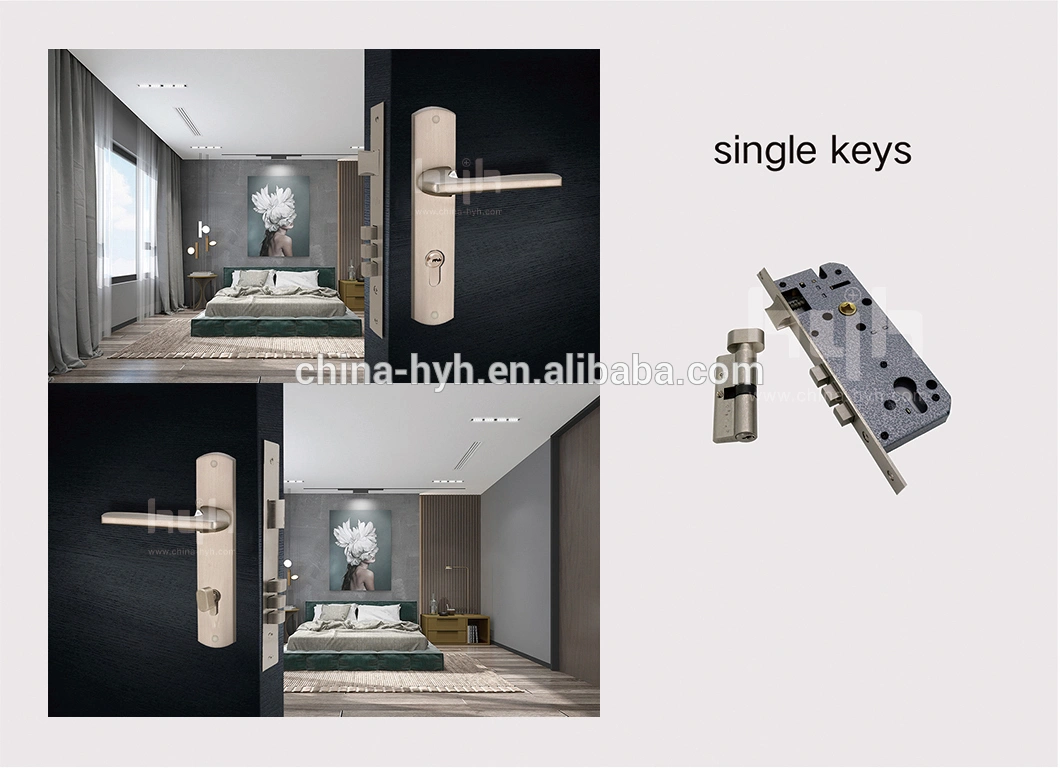 China entry door pull handles