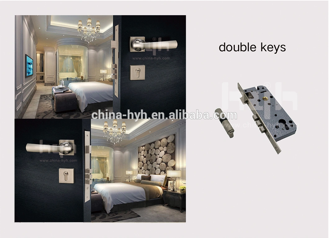 China Door Handle For Entry Doors