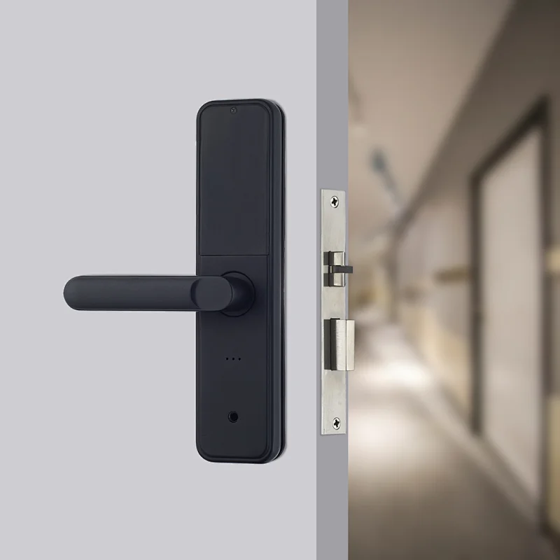Ttlock Digital Password Fingerprint Smart Door Lock For Home