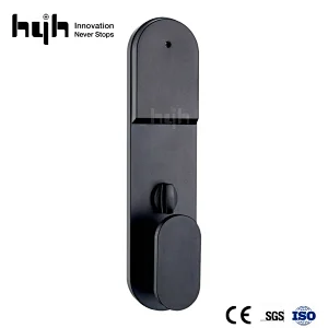 Double Side Gold Digital Smart App Control Door Lock