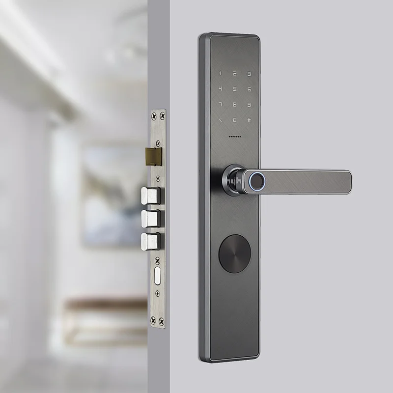Aluminium Waterproof Electronic Fingerprint Smart Door Lock