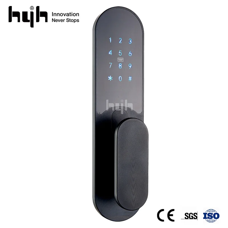 Double Side Gold Digital Smart App Control Door Lock
