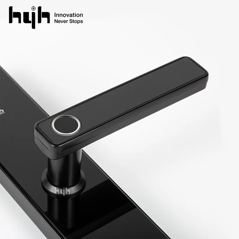 Electric Digital Wifi Smart Finger Print Door Lock