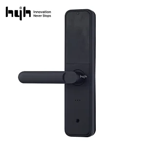 Ttlock Digital Password Fingerprint Smart Door Lock For Home