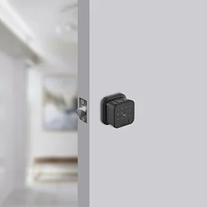Key Card App Bluetooth Password Fingerprint Digital Home Smart Door Knob Lock