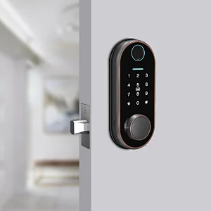 Fingerprint Digital Key Card Security Home Smart Deadbolt Door Lock