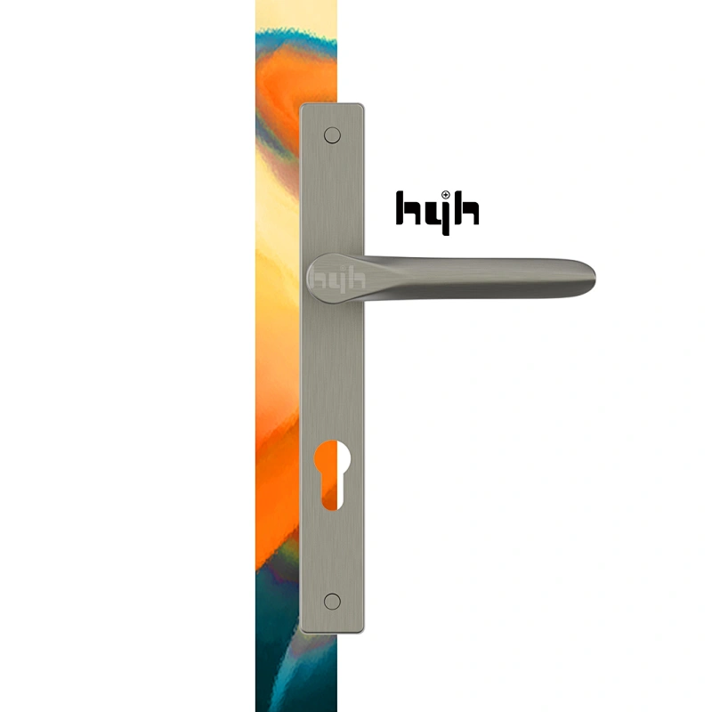hyh Modern Style Zinc Alloy Entrance Plate Door Handle