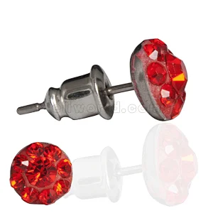 Stainless Steel Earring & fake plug