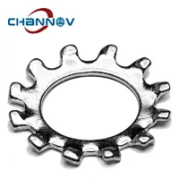 DIN 6797 Type A Tooth Lock Washers M5 Metric External TypeA A2 Stainless Steel 9000 pcs DIN 6797 Type A Tooth Lock Washers M5 Metric External TypeA A2 Stainless Steel 9000 pcs