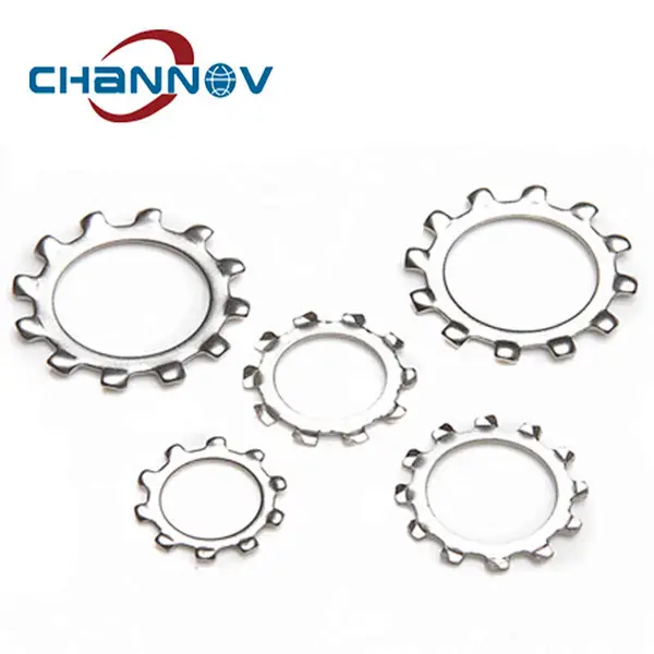 DIN 6797A SS External Tooth Washer SatinSteel Toothed Washers