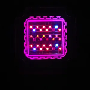 Full spectrum 30W full color led module for led grow light