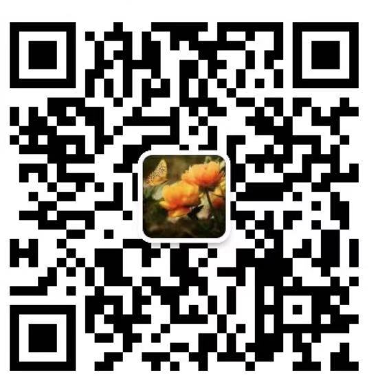 wechat qr code