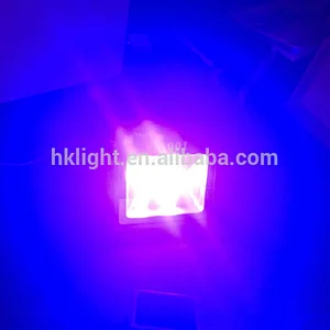 Factory Price Outdoor 50w 100w COB UV LED Floodlight