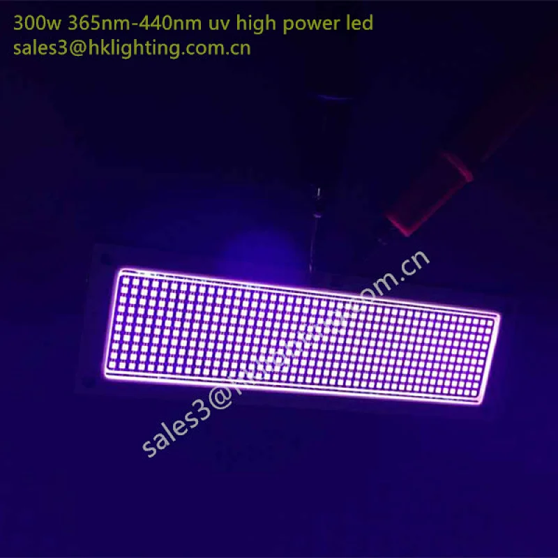 Hot New Product Rectangle Shape High Power 600W 365nm 375nm 385nm 395nm 405nm 415nm 425nm UV LED Chip
