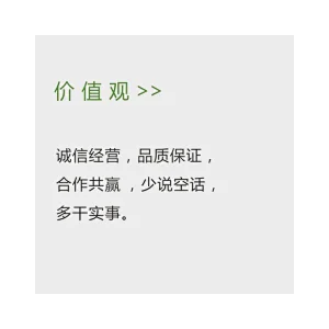 价值观