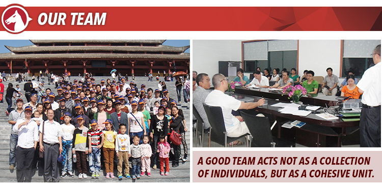 tiema team