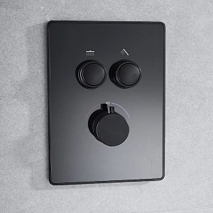 black tap and shower set