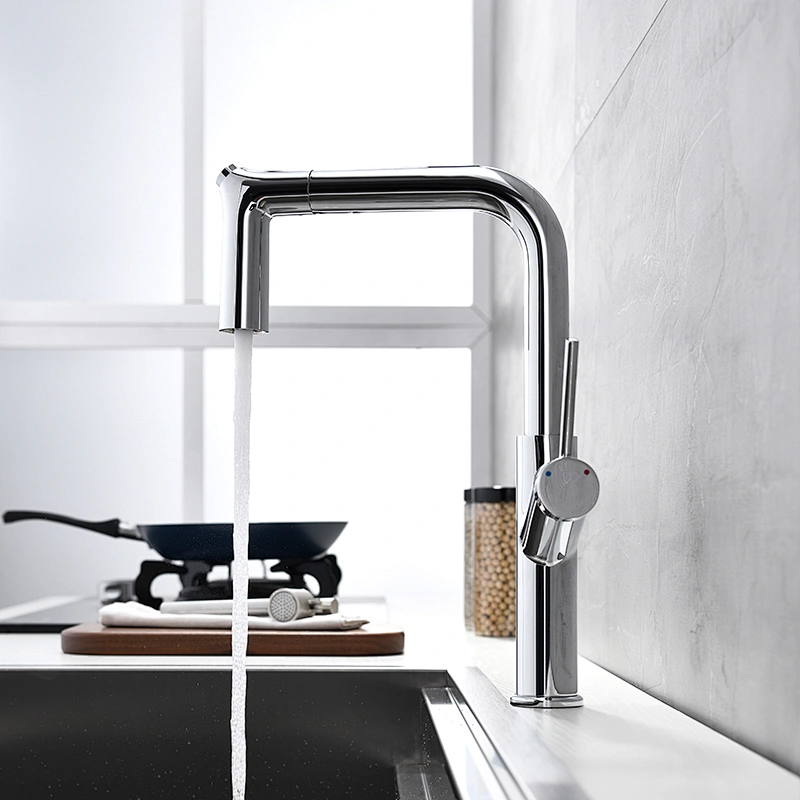 single handle kitchen faucet with pull out sprayer