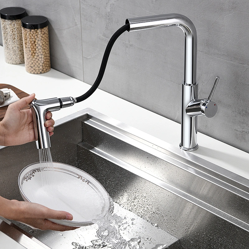 single handle kitchen faucet with pull out sprayer