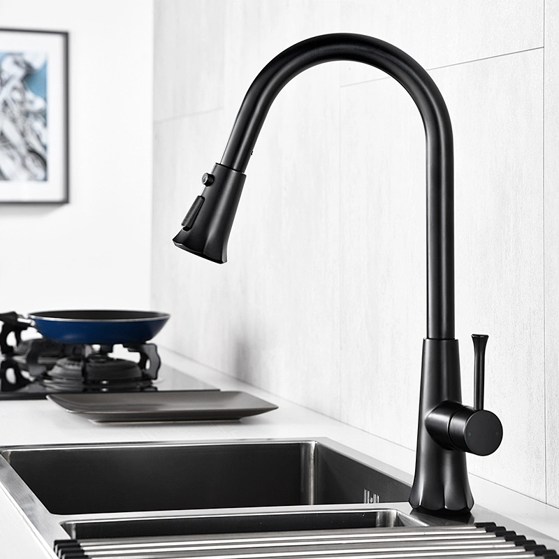 single handle pull out kitchen faucets