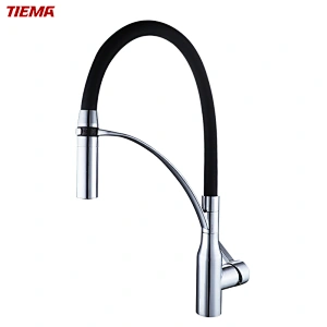 kitchen sink faucet with pull down sprayer