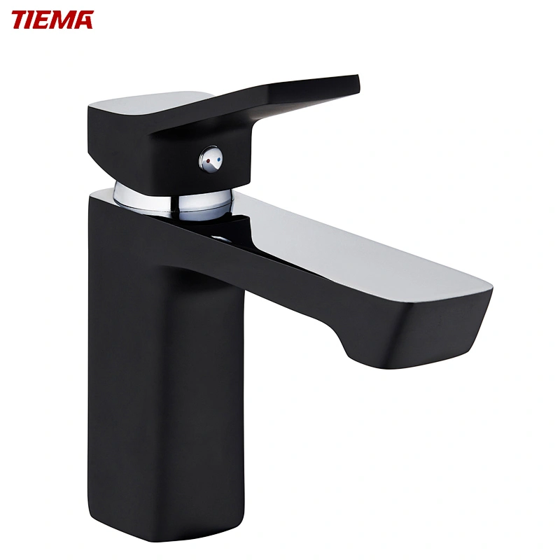 black kitchen faucet with stainless sink