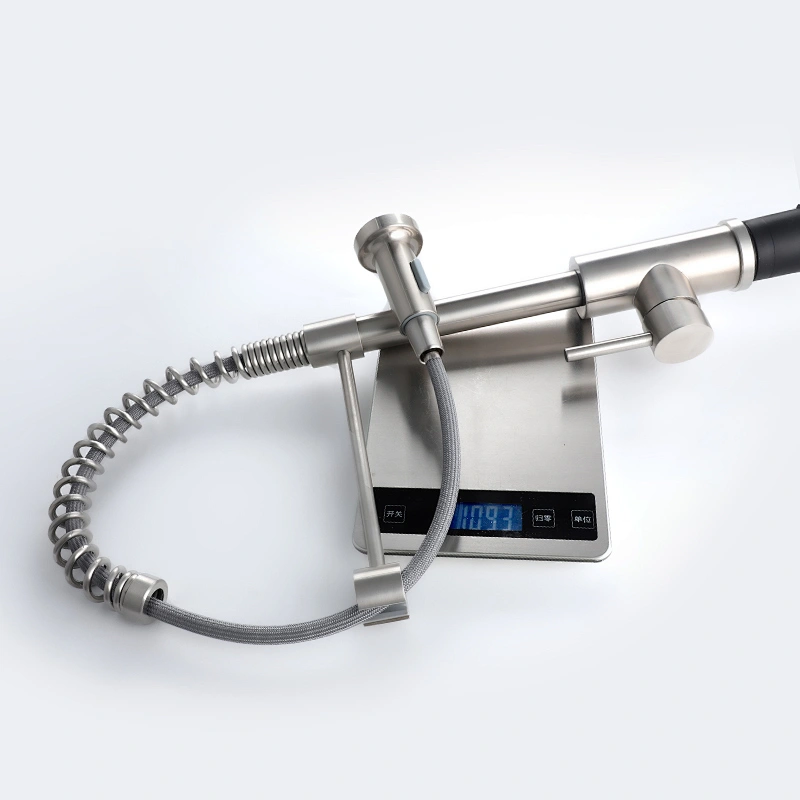 single lever kitchen tap with pull out spray
