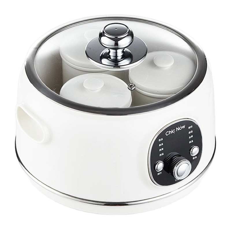 Electric Slow Cooker