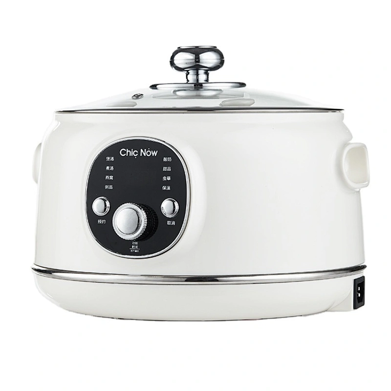 Electric Slow Cooker