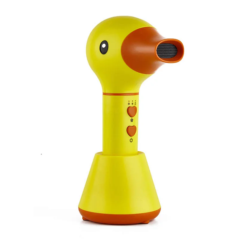 Hair Dryer