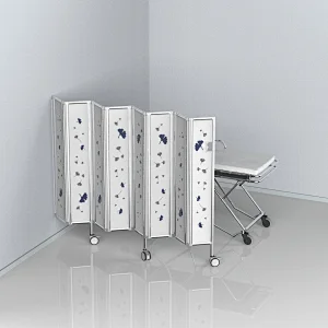 Double Shower Screen in Aluminium Profile