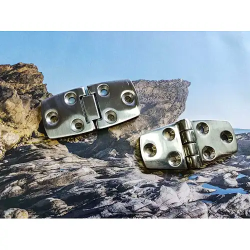 SS316 DOOR HINGE