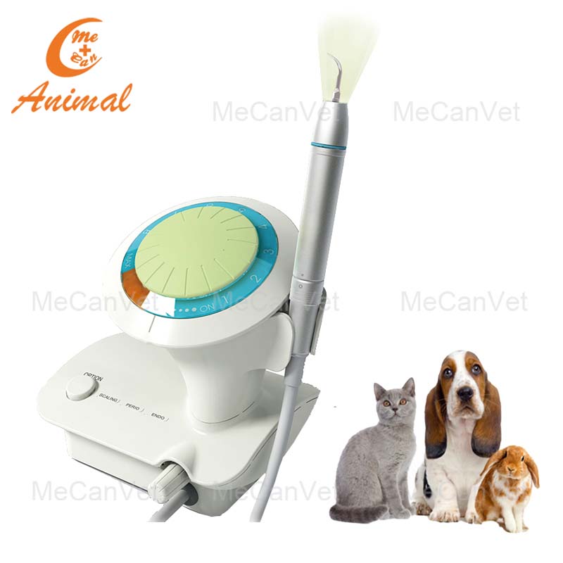 Veterinary Ultrasonic Dental Scaler