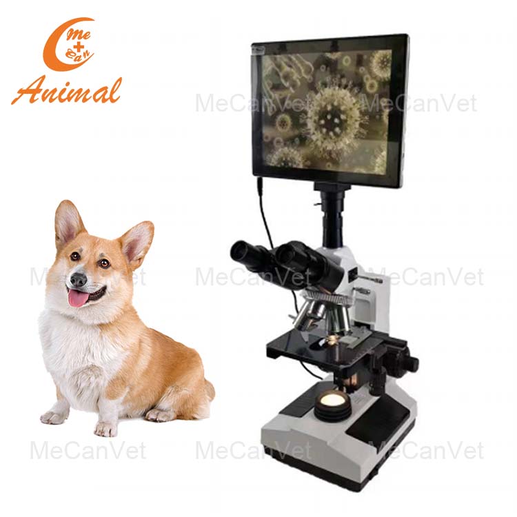 Microscope Vétérinaire 40X-2000X | Platine Mécanique | Mise Au Point Grossière Et Fine | Éclairage LED | Cadre Métallique