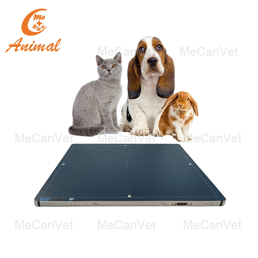 Flat Panel Detectors for Veterinary X-ray | China Supplier