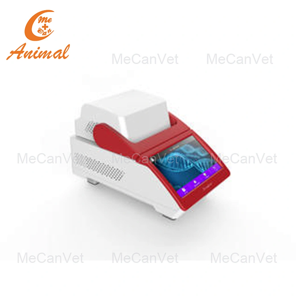 MIni Real Time qPCR System | China Factory