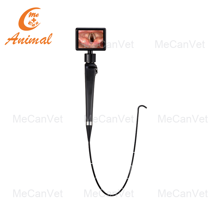 Racecourse Solutions for Animal Sports MeCan Vet